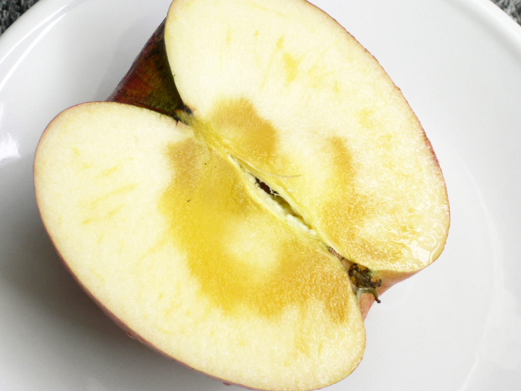 f:id:hellomold:20181018214226j:plain