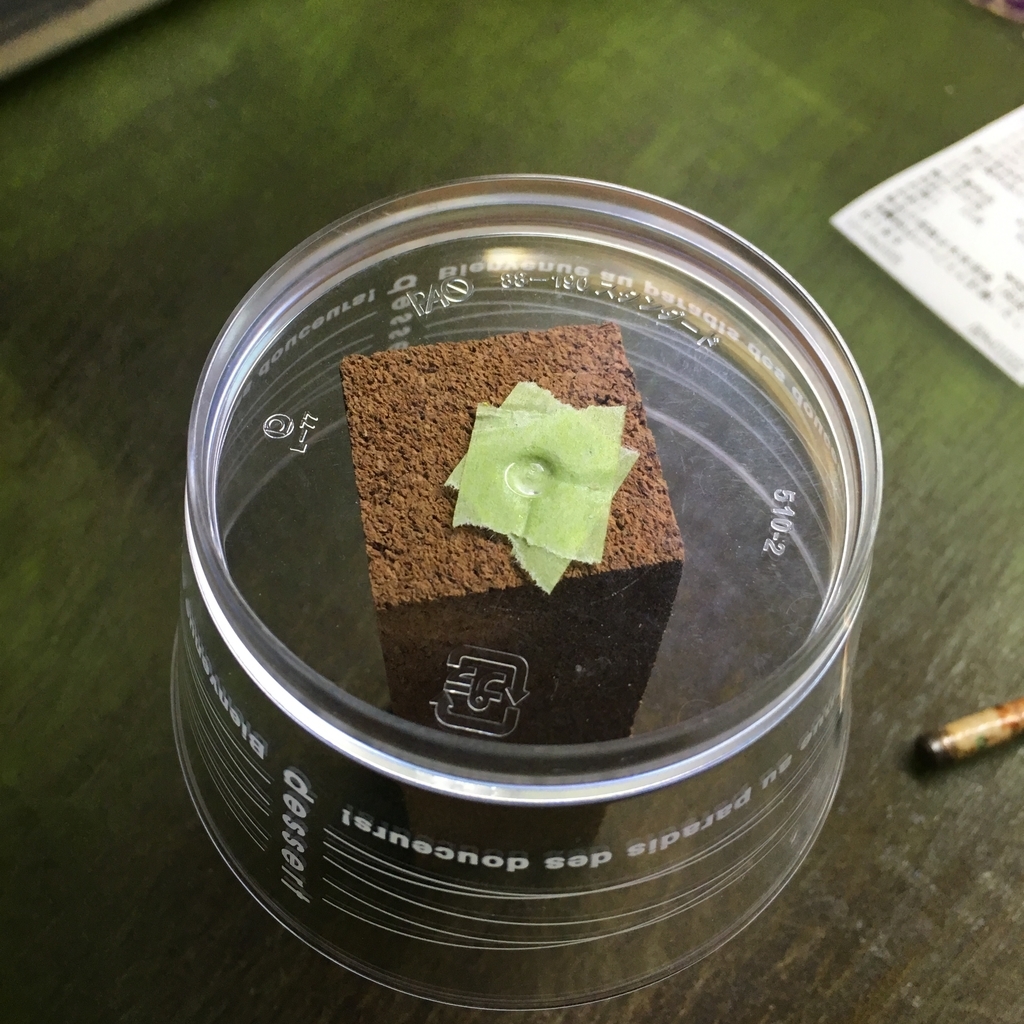 プラカップに穴をあける