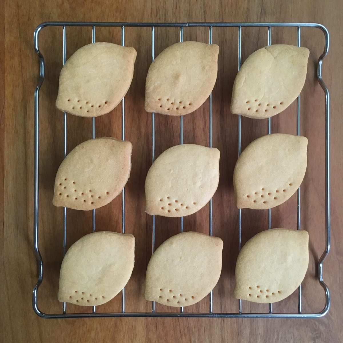 f:id:hellomold:20190519064915j:plain