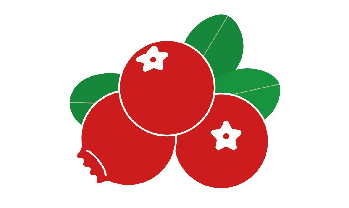 リンゴンベリーイラスト