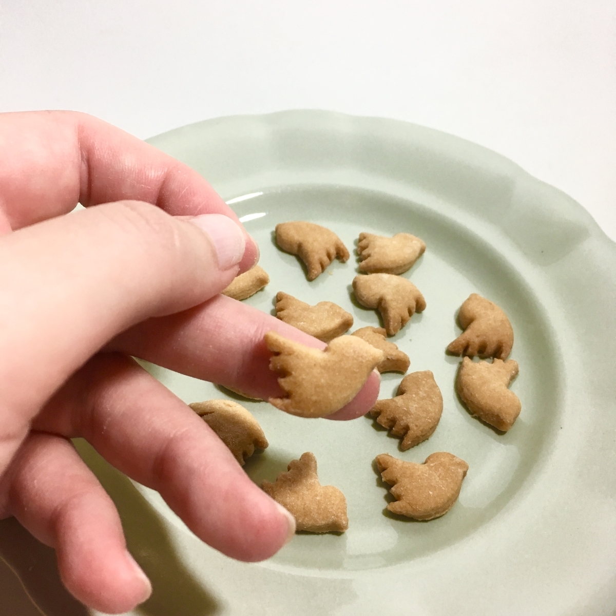 twitter アイコンクッキー