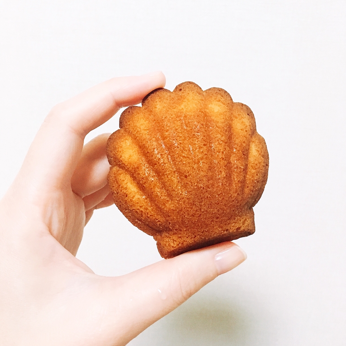 f:id:hellomold:20191208140333j:plain